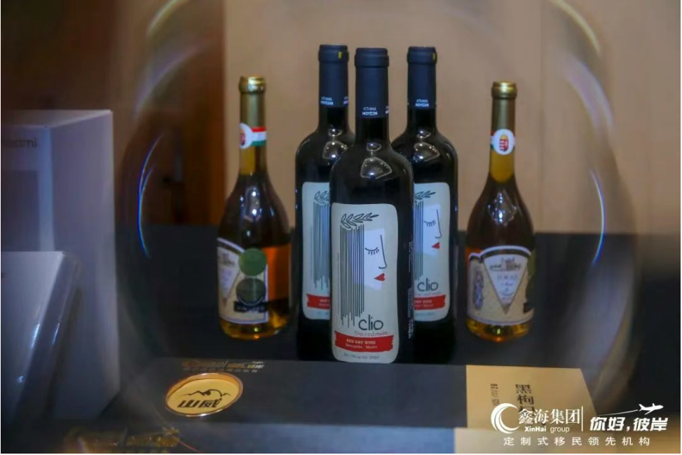 鑫海移民