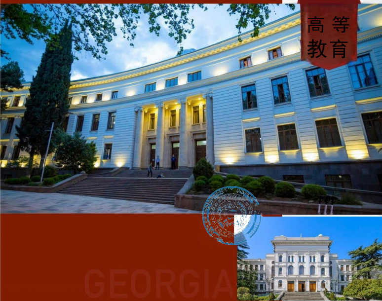 格鲁吉亚公民计划