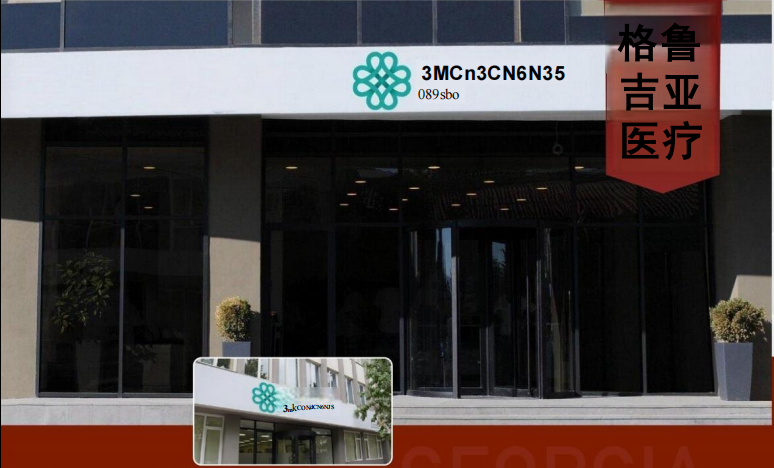 格鲁吉亚公民计划