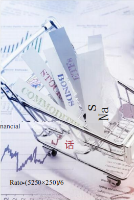 格鲁吉亚公民计划