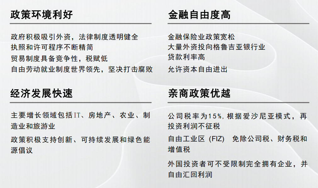 格鲁吉亚公民计划